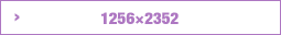 1256×2352